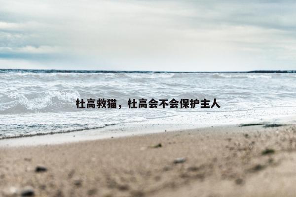 杜高救猫，杜高会不会保护主人