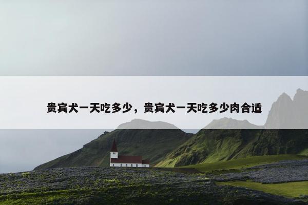 贵宾犬一天吃多少，贵宾犬一天吃多少肉合适