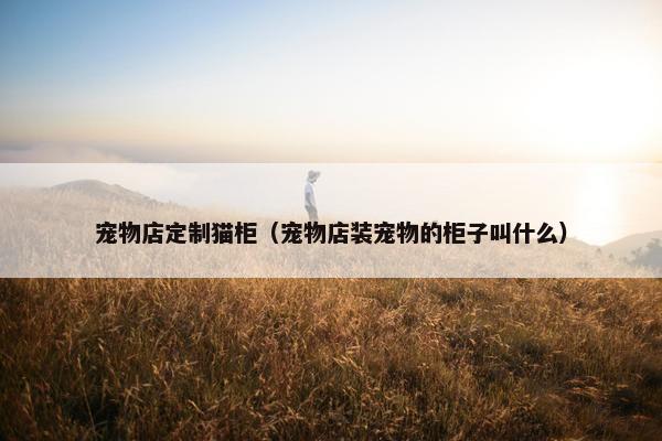 宠物店定制猫柜（宠物店装宠物的柜子叫什么）