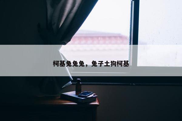 柯基兔兔兔，兔子土狗柯基