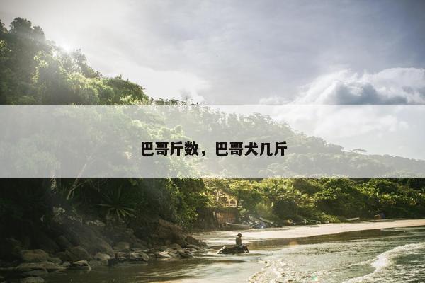 巴哥斤数，巴哥犬几斤