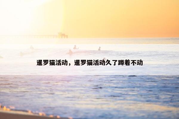 暹罗猫活动，暹罗猫活动久了蹲着不动