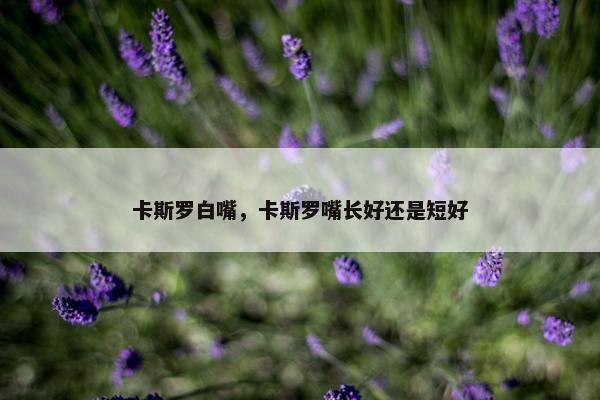 卡斯罗白嘴，卡斯罗嘴长好还是短好