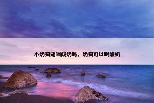小奶狗能喝酸奶吗，奶狗可以喝酸奶