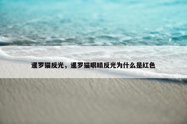 暹罗猫反光，暹罗猫眼睛反光为什么是红色