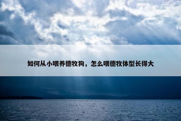 如何从小喂养德牧狗，怎么喂德牧体型长得大