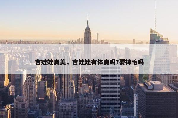 吉娃娃臭美，吉娃娃有体臭吗?要掉毛吗