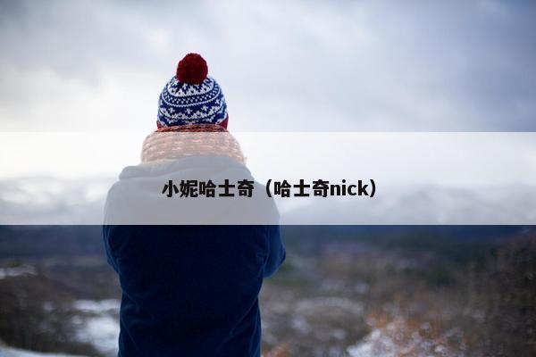 小妮哈士奇（哈士奇nick）