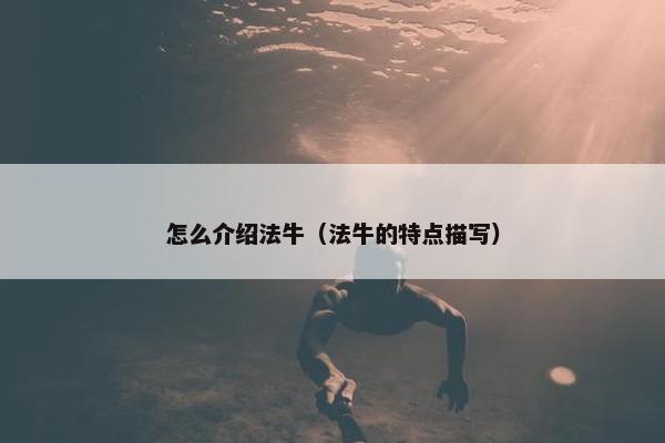 怎么介绍法牛（法牛的特点描写）