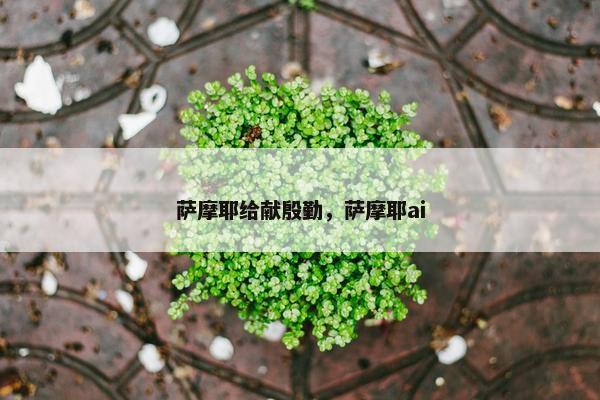 萨摩耶给献殷勤，萨摩耶ai