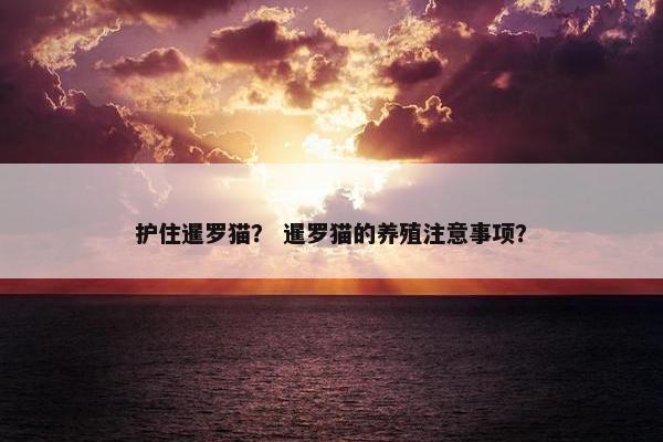护住暹罗猫？ 暹罗猫的养殖注意事项？