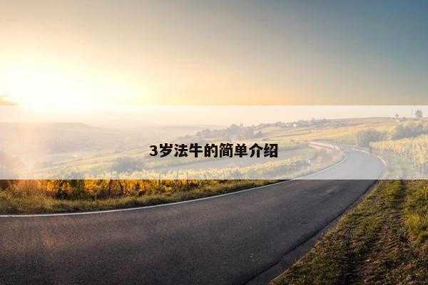 3岁法牛的简单介绍