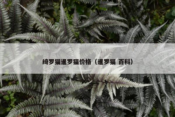 起名