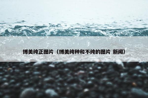 博美纯正图片（博美纯种和不纯的图片 新闻）