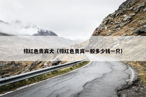 棕红色贵宾犬（棕红色贵宾一般多少钱一只）