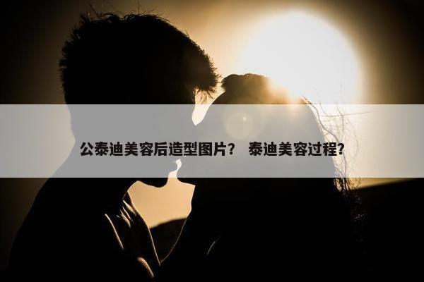 公泰迪美容后造型图片？ 泰迪美容过程？