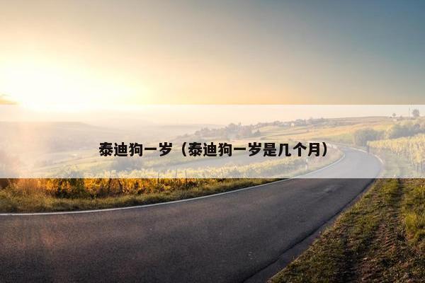 泰迪狗一岁（泰迪狗一岁是几个月）