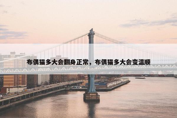 布偶猫多大会翻身正常，布偶猫多大会变温顺