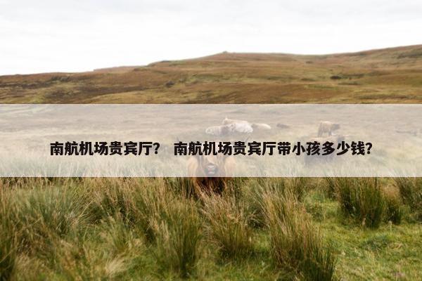 南航