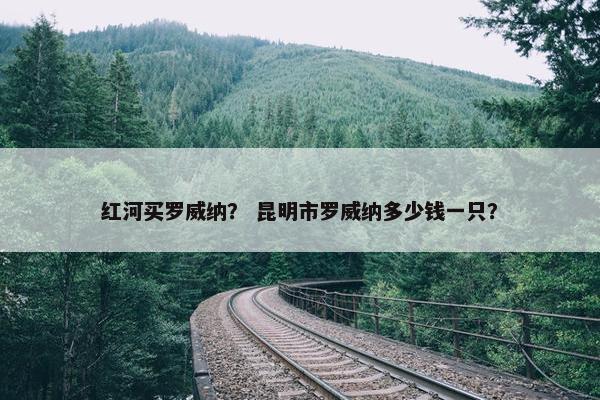 红河买罗威纳？ 昆明市罗威纳多少钱一只？