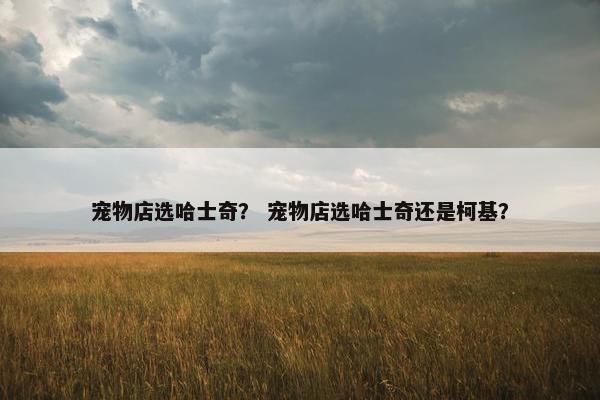 宠物店选哈士奇？ 宠物店选哈士奇还是柯基？