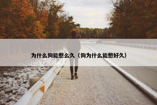 为什么狗能憋么久（狗为什么能憋好久）