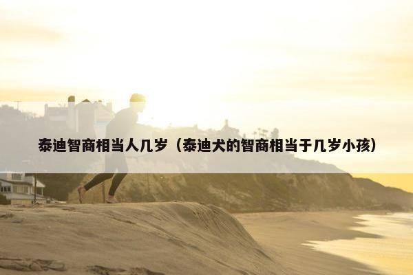 泰迪智商相当人几岁(泰迪犬的智商相当于几岁小孩)