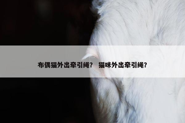 布偶猫外出牵引绳？ 猫咪外出牵引绳？