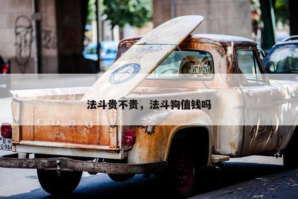 法斗贵不贵，法斗狗值钱吗