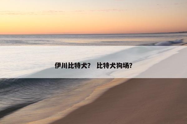 伊川比特犬？ 比特犬狗场？