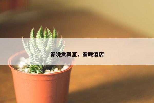 春晚贵宾室，春晚酒店