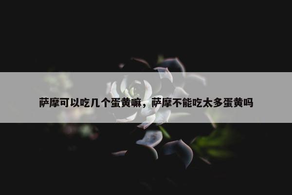萨摩可以吃几个蛋黄嘛，萨摩不能吃太多蛋黄吗