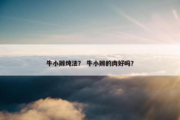 牛小辫炖法？ 牛小辫的肉好吗？