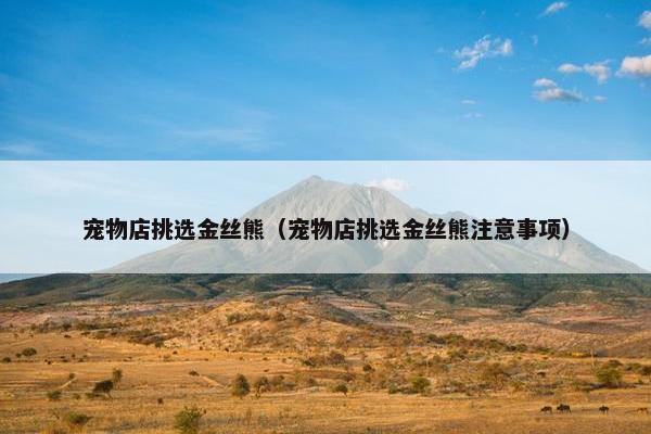 宠物店挑选金丝熊（宠物店挑选金丝熊注意事项）