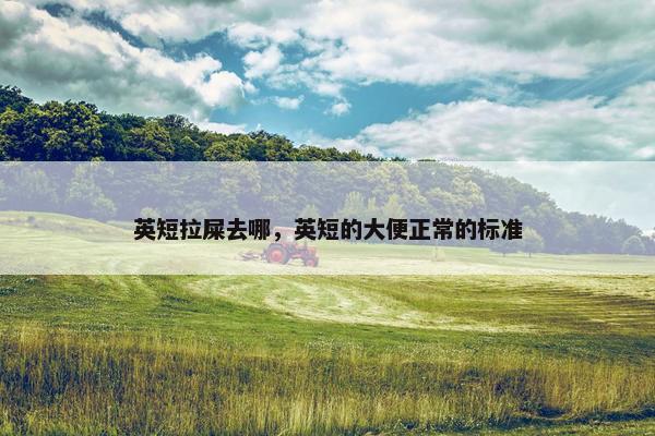 英短拉屎去哪，英短的大便正常的标准