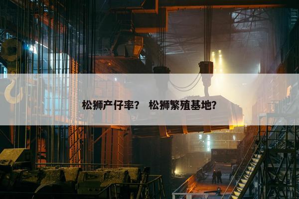 松狮产仔率？ 松狮繁殖基地？