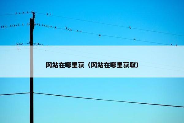 网站在哪里获（网站在哪里获取）