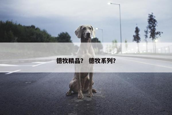 德牧精品？ 德牧系列？