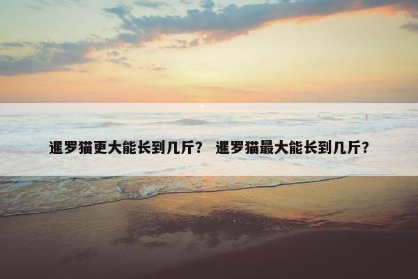 暹罗猫更大能长到几斤？ 暹罗猫最大能长到几斤？