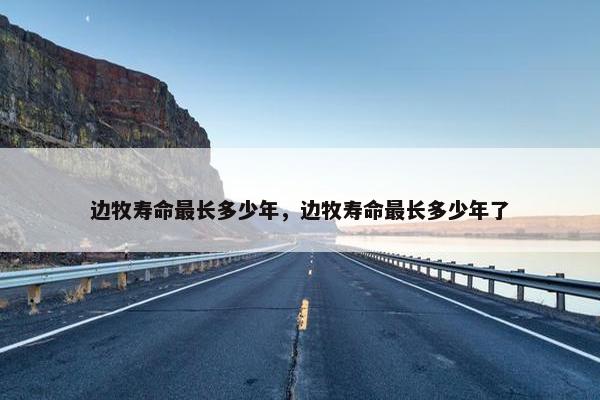 边牧寿命最长多少年，边牧寿命最长多少年了
