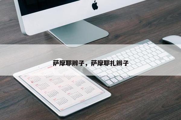 萨摩耶辫子，萨摩耶扎辫子
