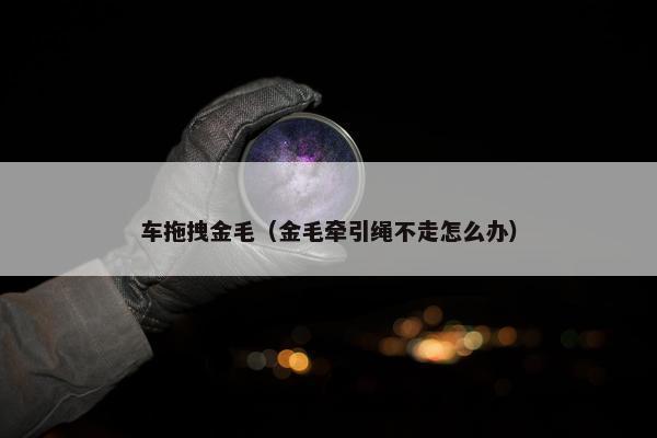 基尼