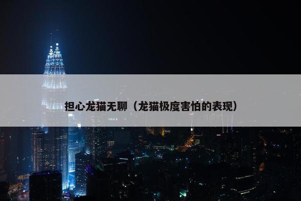 担心龙猫无聊（龙猫极度害怕的表现）