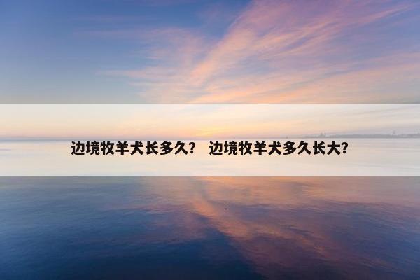 2025年9月 第14页