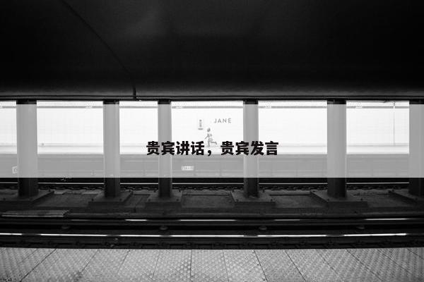 贵宾讲话，贵宾发言