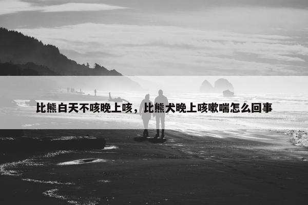 比熊白天不咳晚上咳，比熊犬晚上咳嗽喘怎么回事