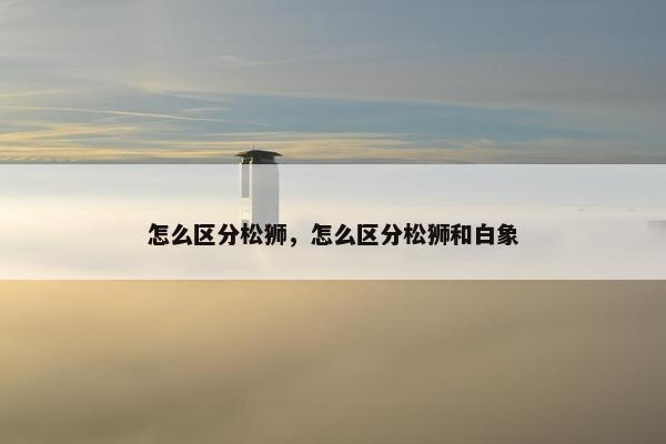 怎么区分松狮，怎么区分松狮和白象