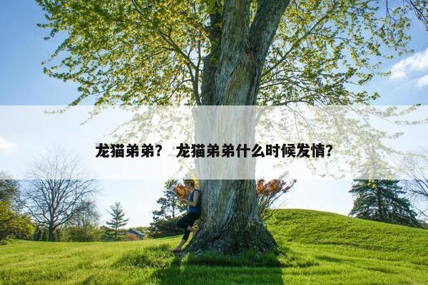 龙猫弟弟？ 龙猫弟弟什么时候发情？