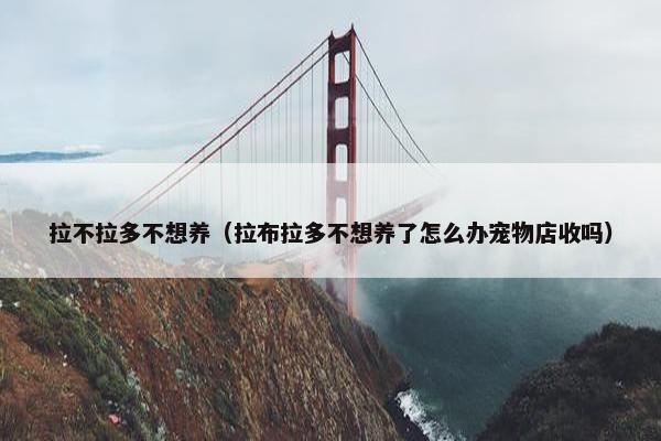 拉不拉多不想养（拉布拉多不想养了怎么办宠物店收吗）