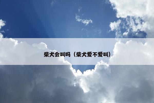 柴犬会叫吗（柴犬爱不爱叫）
